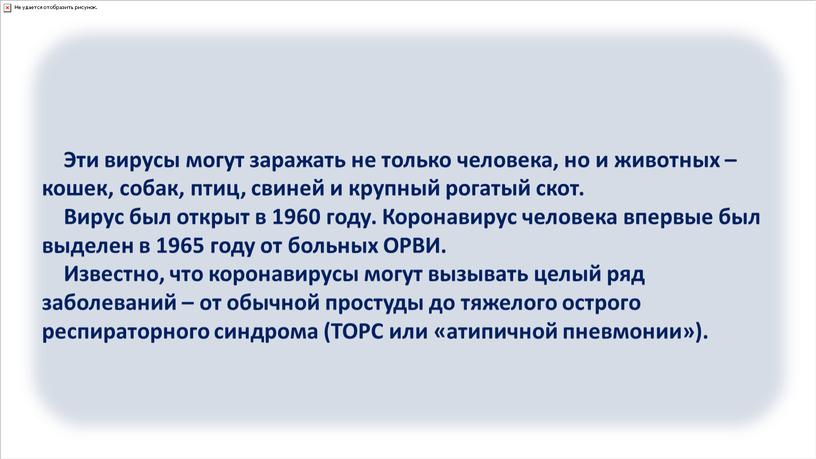 Эти вирусы могут заражать не только человека, но и животных – кошек, собак, птиц, свиней и крупный рогатый скот