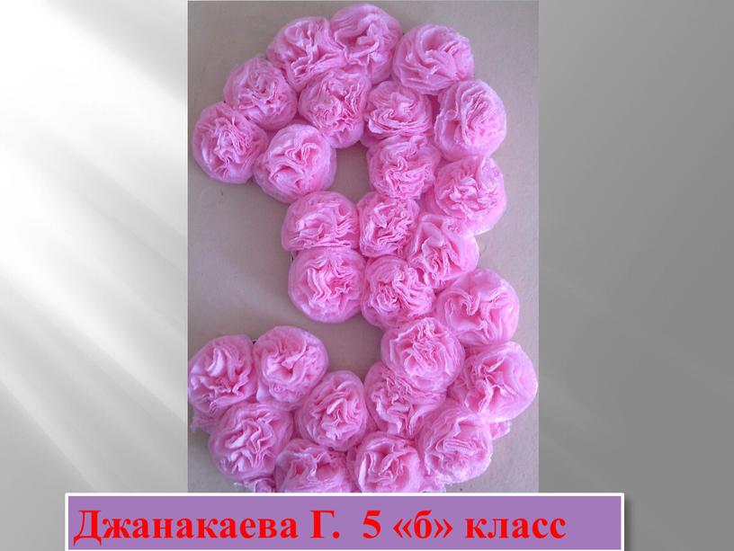 Джанакаева Г. 5 «б» класс