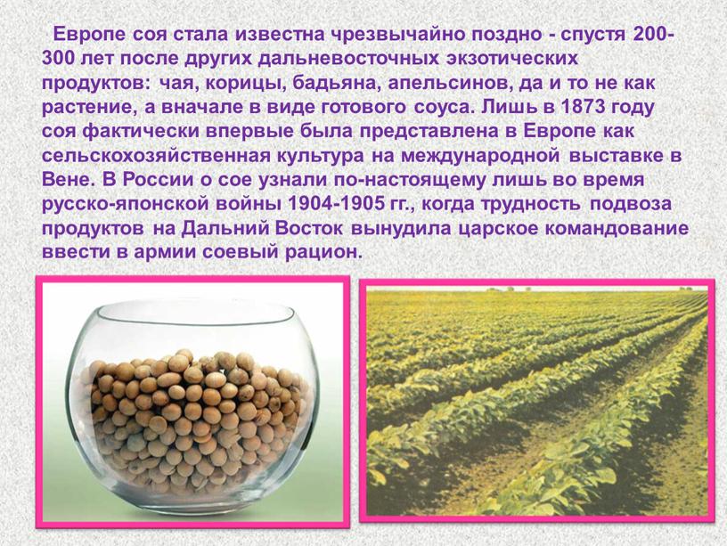 Европе соя стала известна чрезвычайно поздно - спустя 200-300 лет после других дальневосточных экзотических продуктов: чая, корицы, бадьяна, апельсинов, да и то не как растение,…