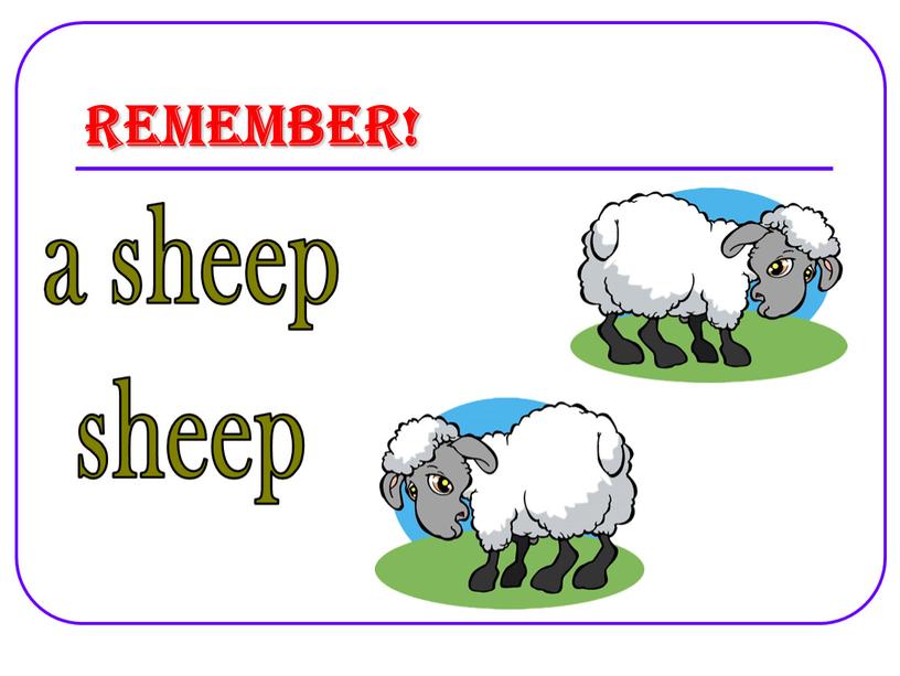 Remember! a sheep sheep