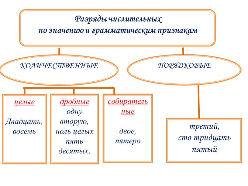 КОЛИЧЕСТВЕННЫЕ ПОРЯДКОВЫЕ целые