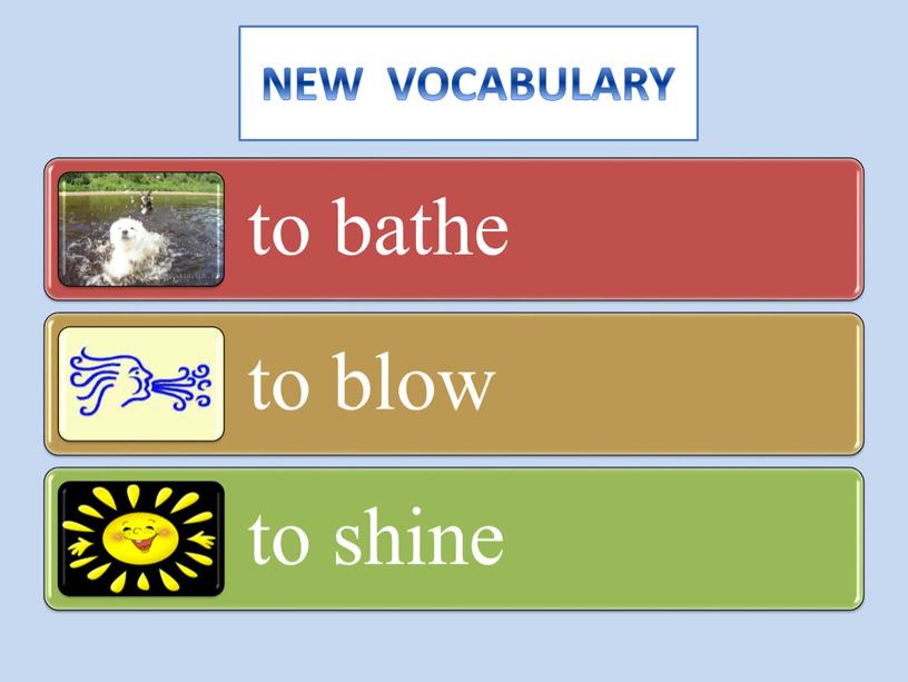 NEW VOCABULARY