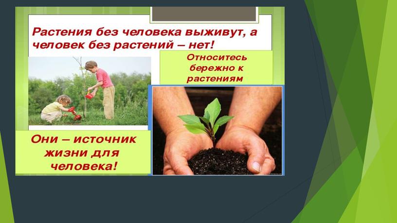 Методическая разработка на тему "Буйство весенних красок"