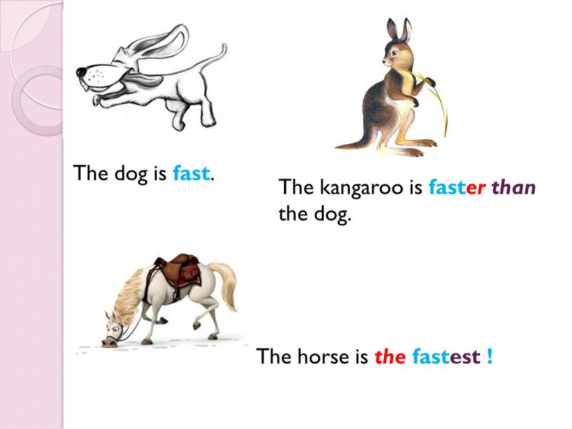 The dog is fast . The kangaroo is fast er than the dog