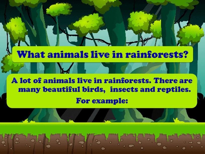What animals live in rainforests?