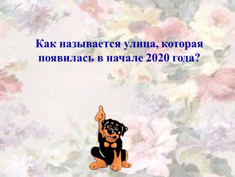 Как называется улица, которая появилась в начале 2020 года?