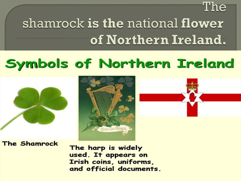 The shamrock is the national flower of