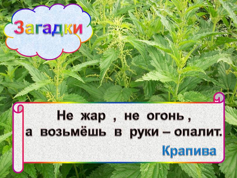 Загадки Не жар , не огонь , а возьмёшь в руки – опалит