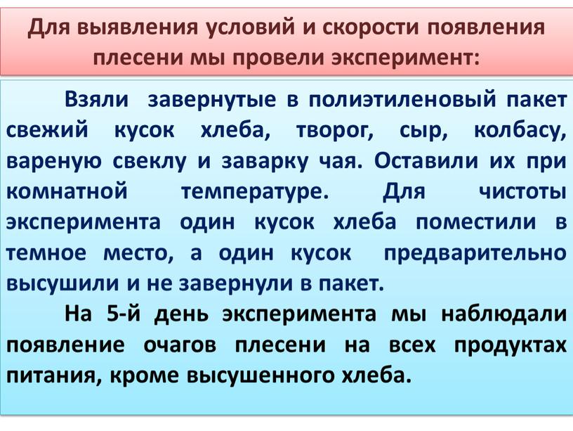 Взяли завернутые в полиэтиленовый пакет свежий кусок хлеба, творог, сыр, колбасу, вареную свеклу и заварку чая