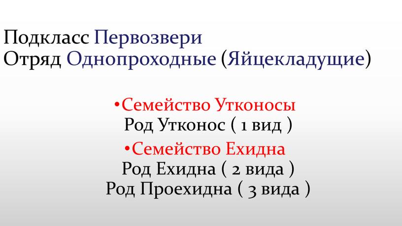 Подкласс Первозвери Отряд Однопроходные (Яйцекладущие)