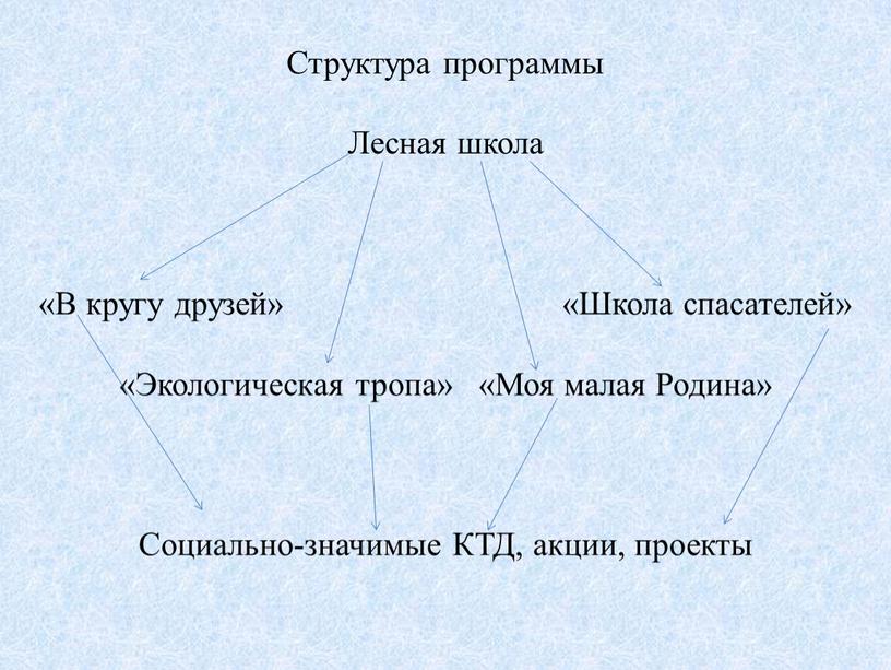 Структура программы