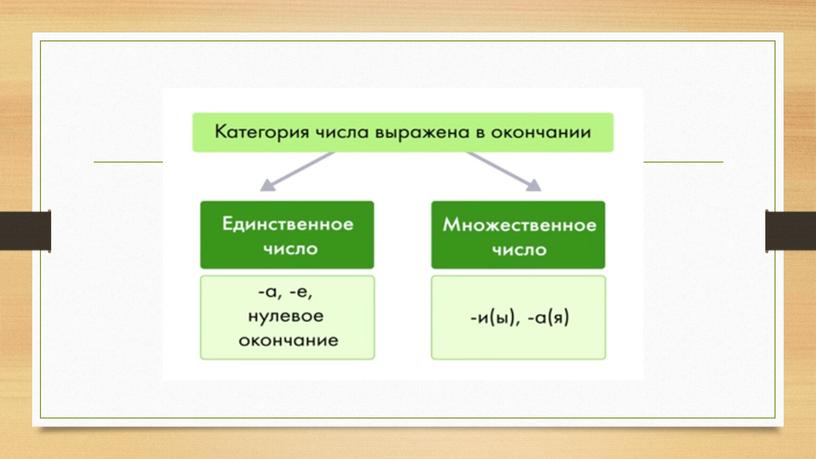 Презентация "Число имени существительного. Имена существительные, имеющие форму только единственного или множественного числа" (5 класс)