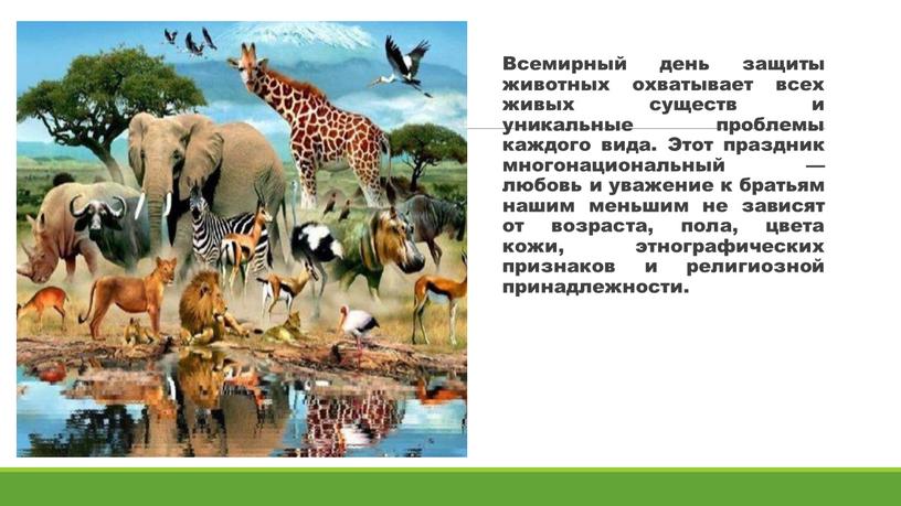 Всемирный день защиты животных охватывает всех живых существ и уникальные проблемы каждого вида