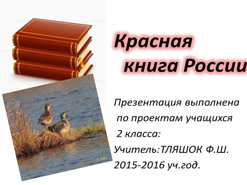 Красная книга России Презентация выполнена по проектам учащихся 2 класса:
