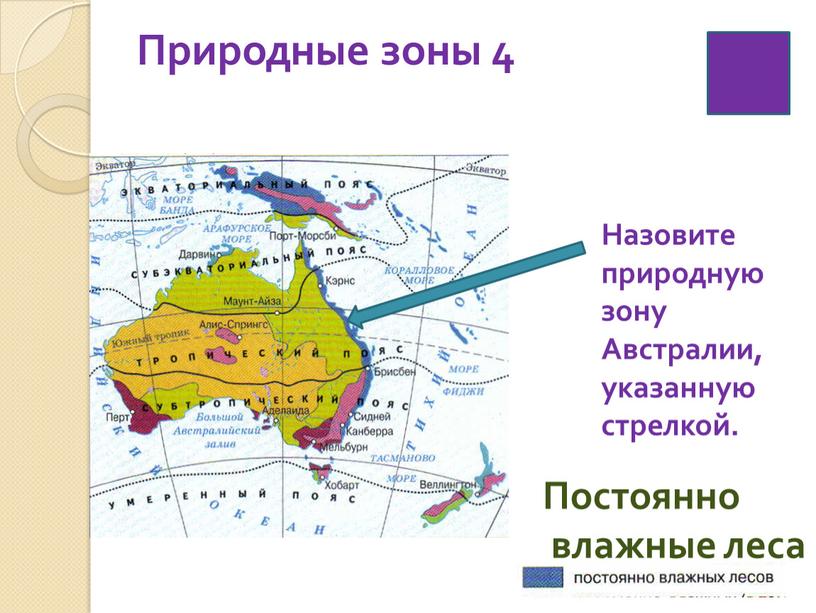 Природные зоны 4 Постоянно влажные леса