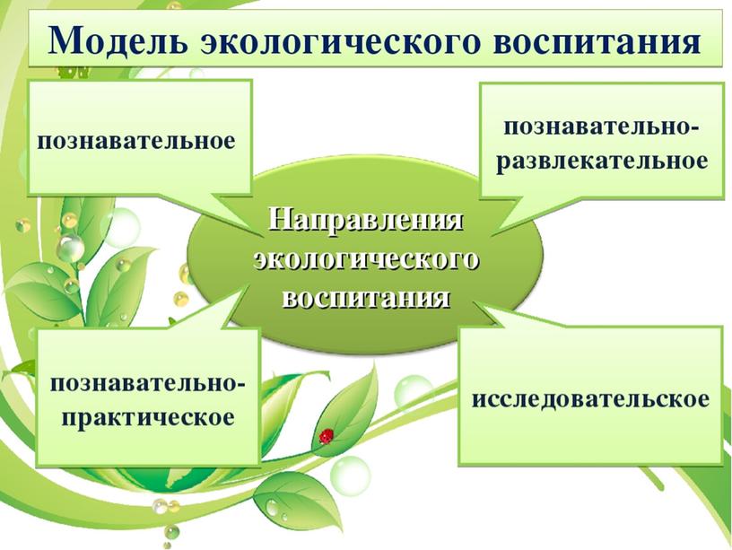 Практико-деятельностный компонент экологического воспитания обучающихся