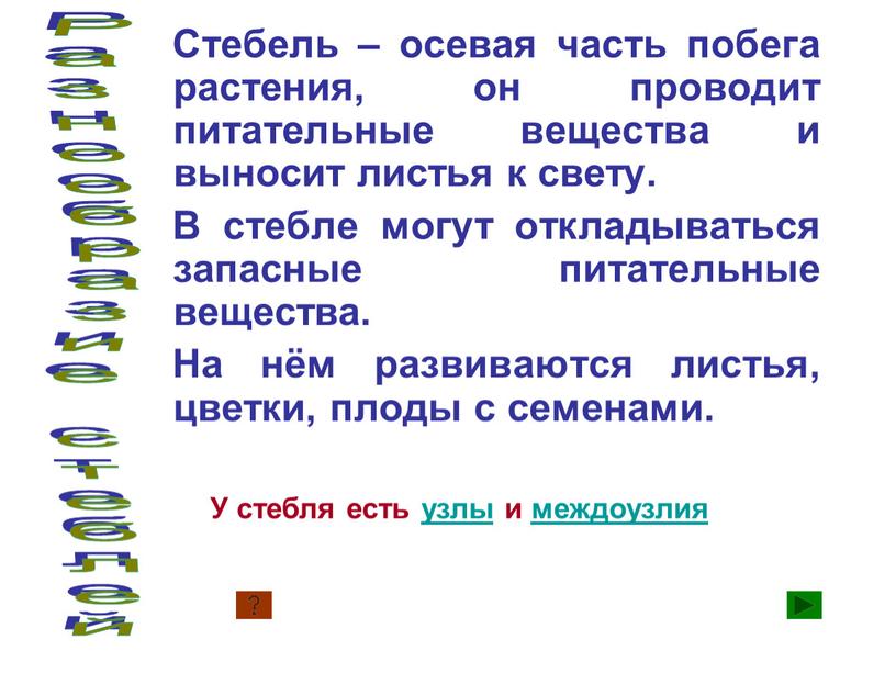 Стебель – осевая часть побега растения, он проводит питательные вещества и выносит листья к свету