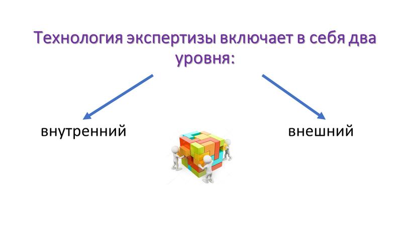 Технология экспертизы включает в себя два уровня: внутренний внешний