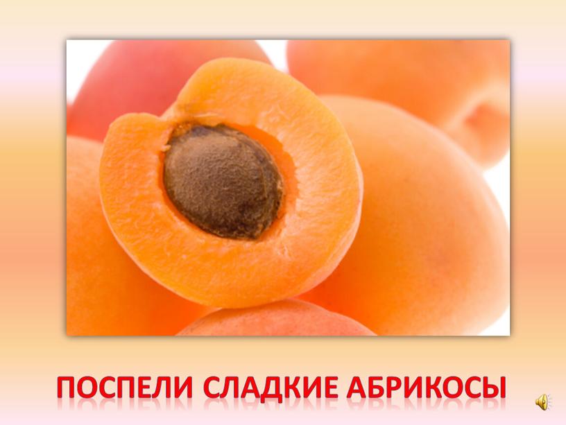Поспели сладкие абрикосы