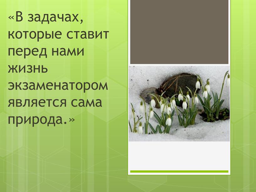 В задачах, которые ставит перед нами жизнь экзаменатором является сама природа