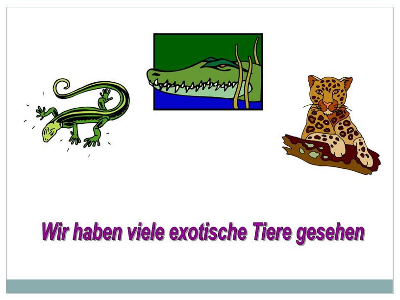 Wir haben viele exotische Tiere gesehen