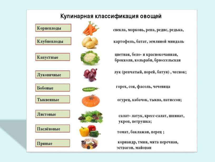 Тема: «Обработка и формы нарезки овощей и их назначение»