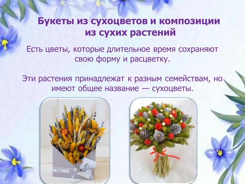 Букеты из сухоцветов и композиции из сухих растений