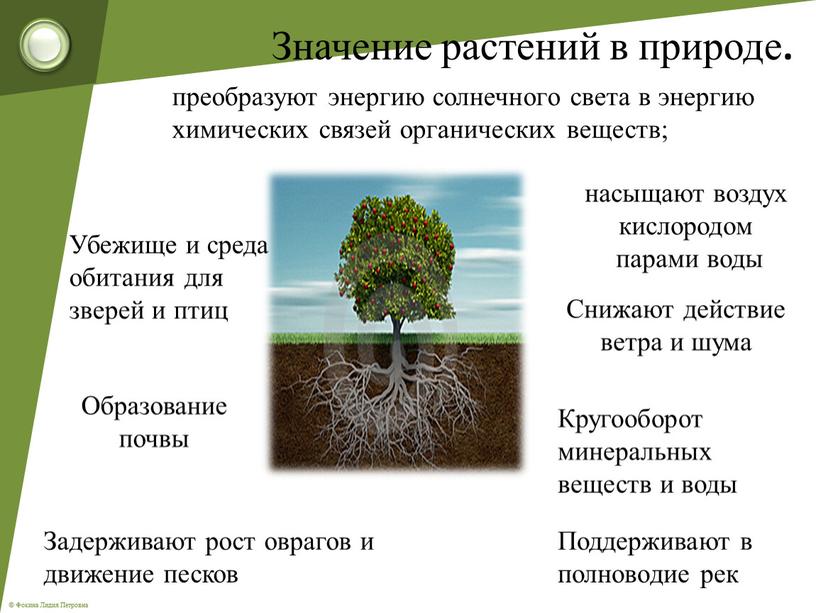 Значение растений в природе .