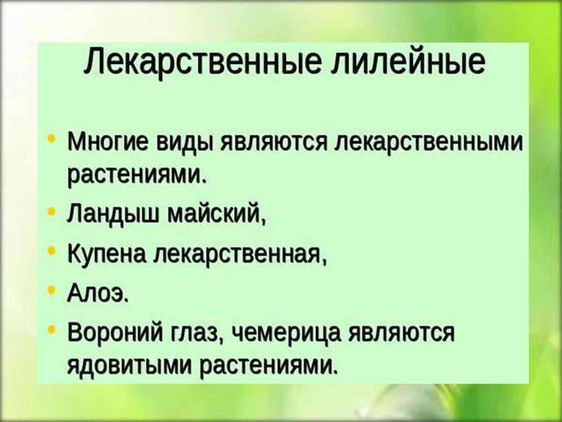 Семейства растений