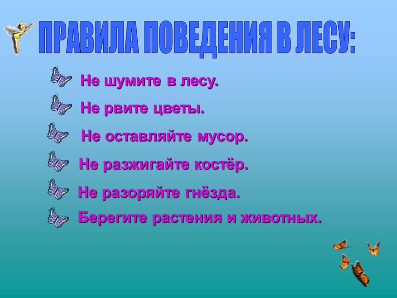 ПРАВИЛА ПОВЕДЕНИЯ В ЛЕСУ: Не шумите в лесу