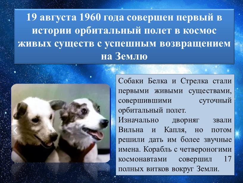 Землю Собаки Белка и Стрелка стали первыми живыми существами, совершившими суточный орбитальный полет
