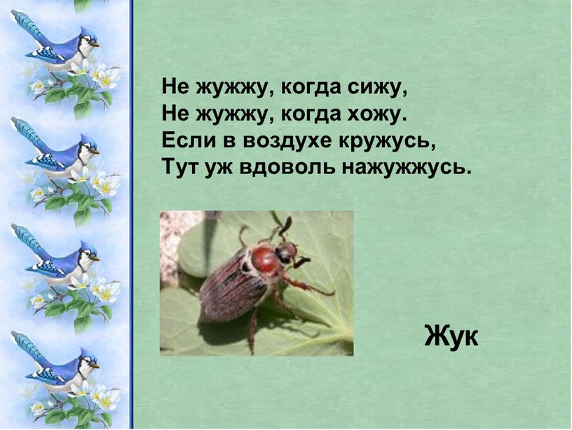 Не жужжу, когда сижу, Не жужжу, когда хожу