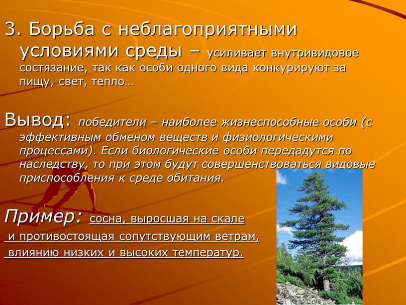 Борьба с неблагоприятными условиями среды – усиливает внутривидовое состязание, так как особи одного вида конкурируют за пищу, свет, тепло…