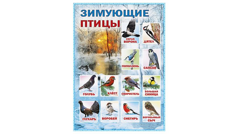 Альбом Зимующие птицы
