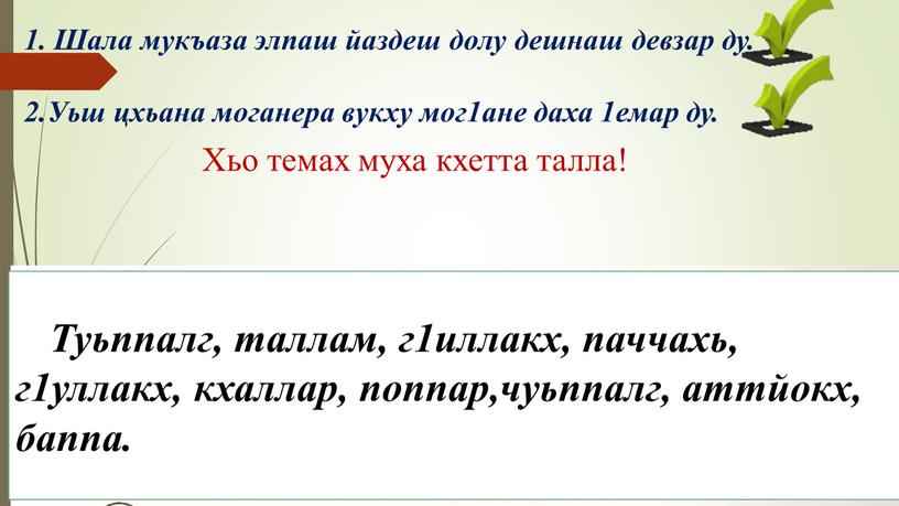 Шала мукъаза элпаш йаздеш долу дешнаш девзар ду