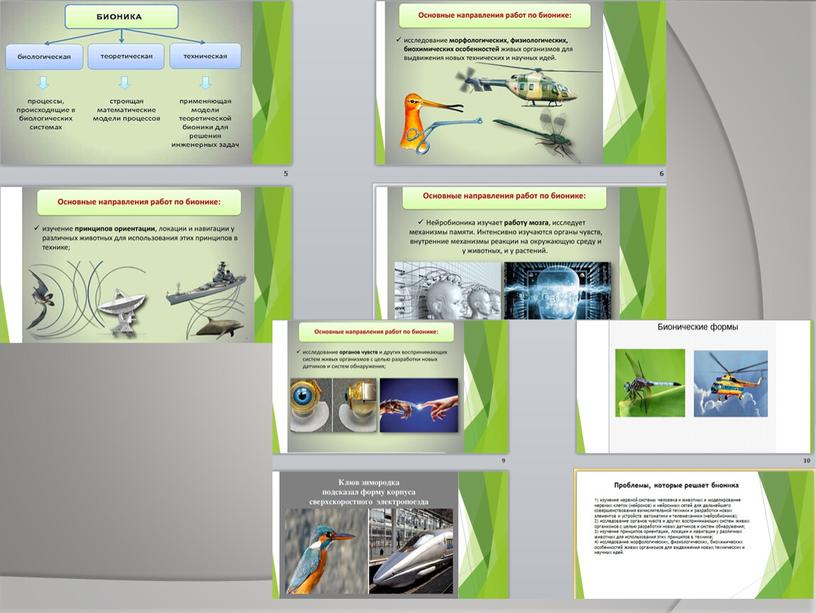 Презентация на защиту проекта по бионике