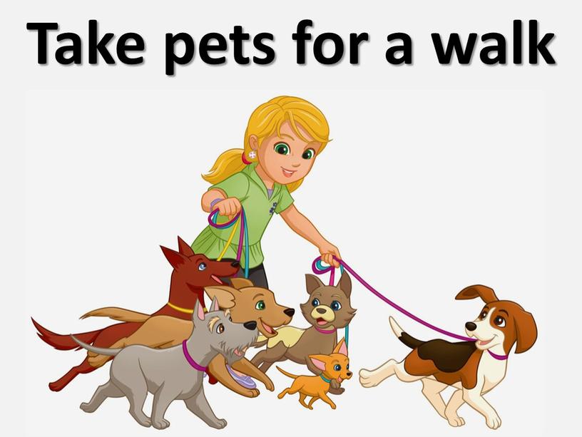 Take pets for a walk