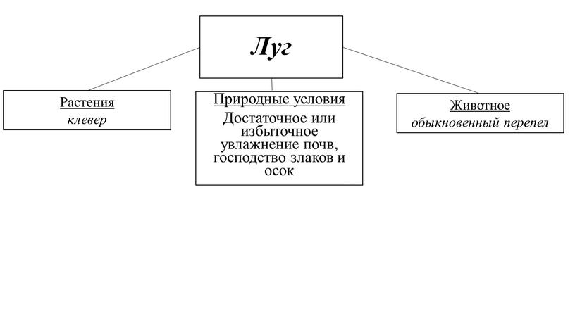 Луг Природные условия Достаточное или избыточное увлажнение почв, господство злаков и осок