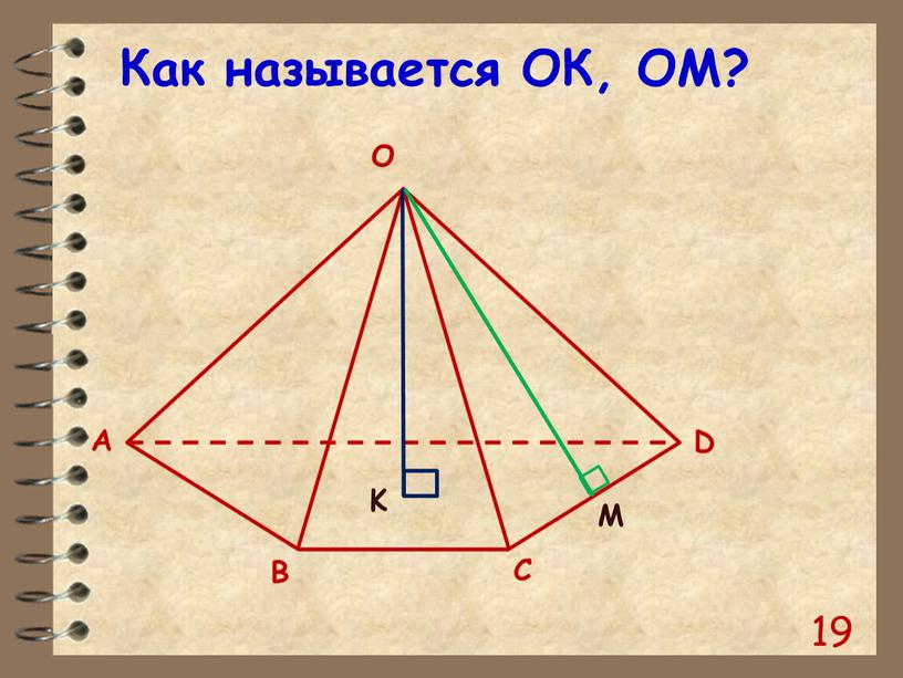 19 Как называется ОК, ОМ?