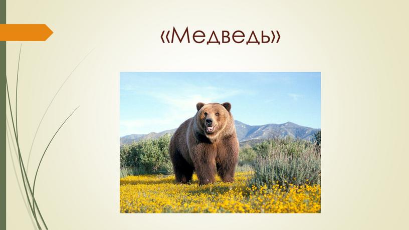«Медведь»