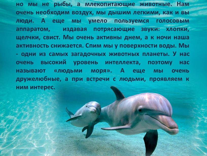 Мы дельфины Афалины живем в море, умеем плавать, но мы не рыбы, а млекопитающие животные