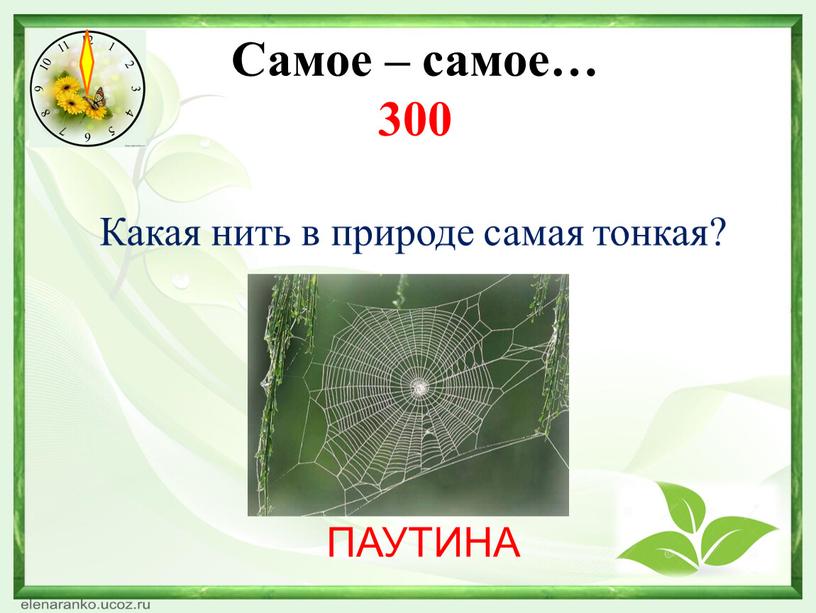 Какая нить в природе самая тонкая. Смотреть фото Какая нить в природе самая тонкая. Смотреть картинку Какая нить в природе самая тонкая. Картинка про Какая нить в природе самая тонкая. Фото Какая нить в природе самая тонкая