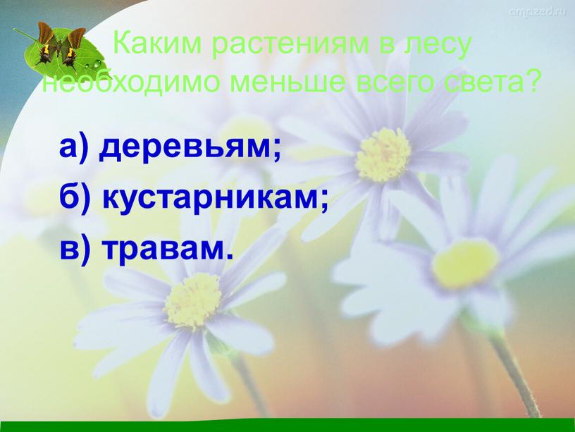 Каким растениям в лесу необходимо меньше всего света? а) деревьям; б) кустарникам; в) травам