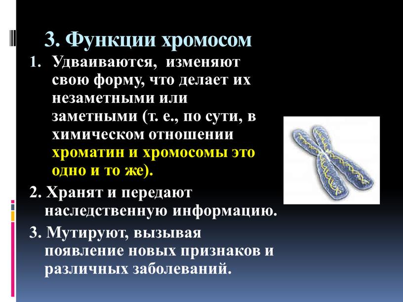 Функции хромосом Удваиваются, изменяют свою форму, что делает их незаметными или заметными (т