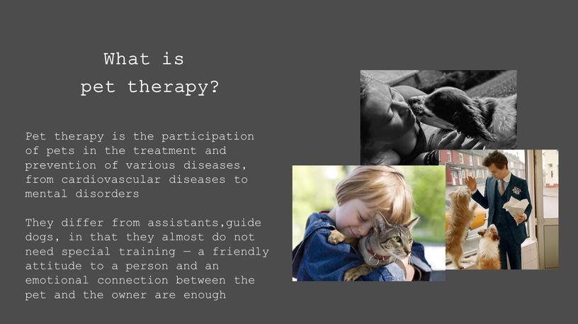 What is pet therapy? Pet therapy is the participation of pets in the treatment and prevention of various diseases, from cardiovascular diseases to mental disorders