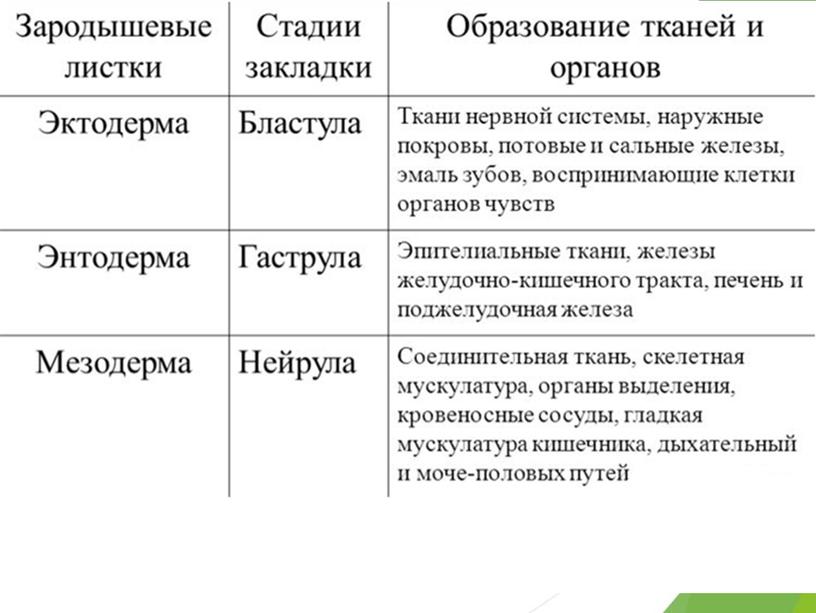 Разбор демо-версии ЕГЭ по биологии