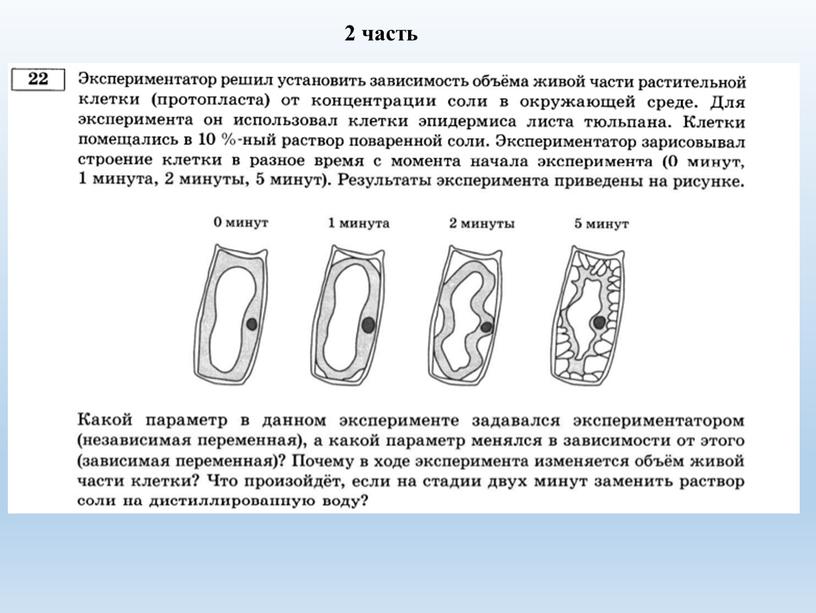 2 часть