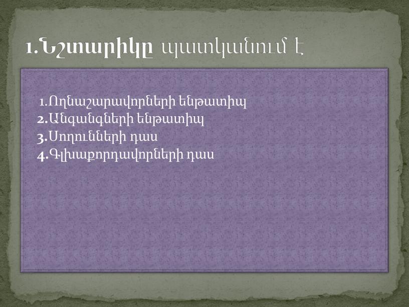 1.Ողնաշարավորների ենթատիպ 2. Անգանգների ենթատիպ 3. Սողունների դաս 4. Գլխաքորդավորների դաս 1.Նշտարիկը պատկանում է