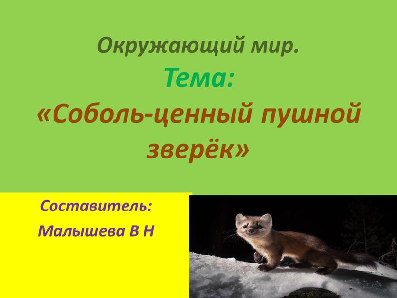 Окружающий мир. Тема: «Соболь-ценный пушной зверёк»