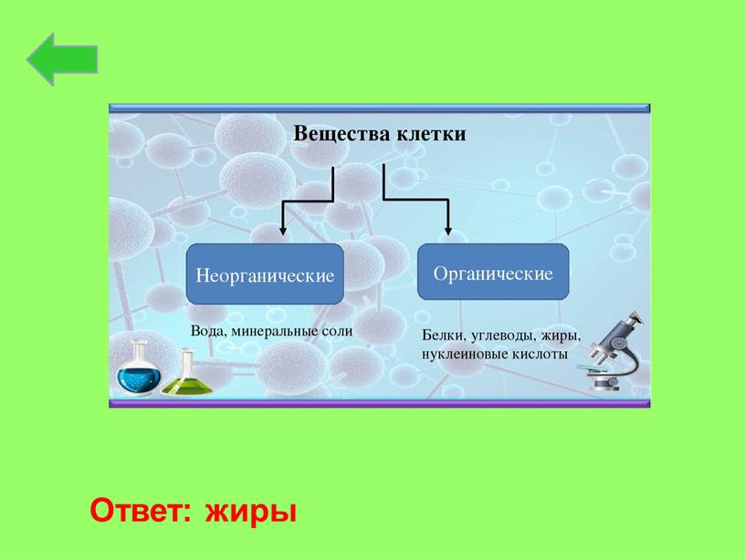 Ответ: жиры